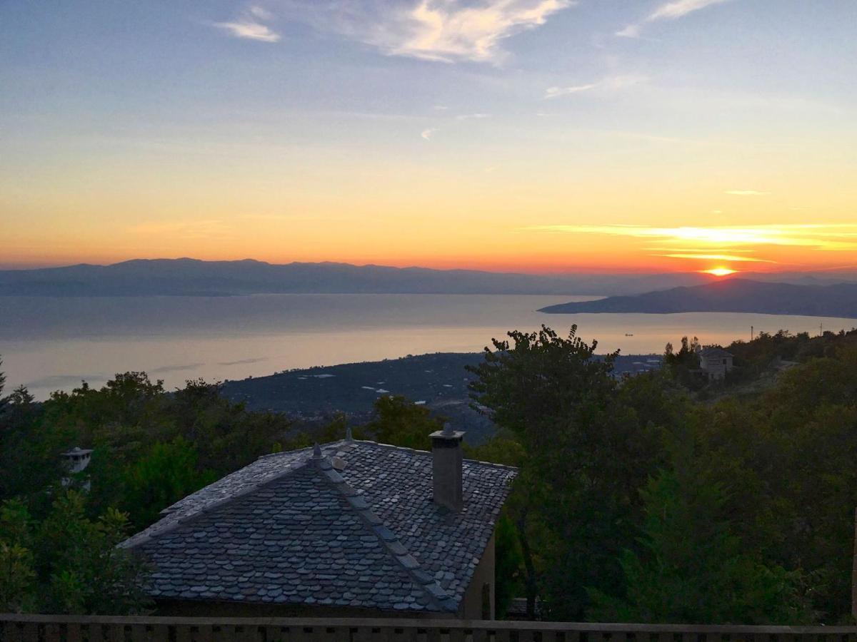 Pelion Homes Villa Iris Private Pool 4 Rooms Dış mekan fotoğraf
