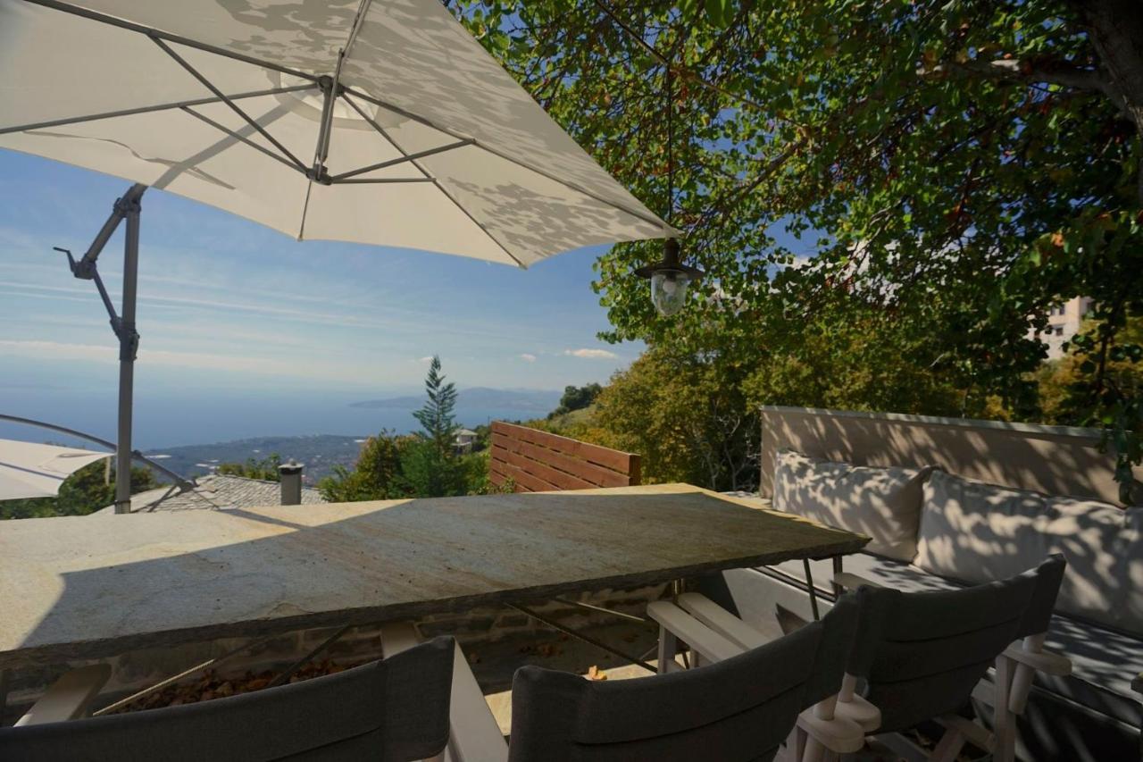 Pelion Homes Villa Iris Private Pool 4 Rooms Dış mekan fotoğraf